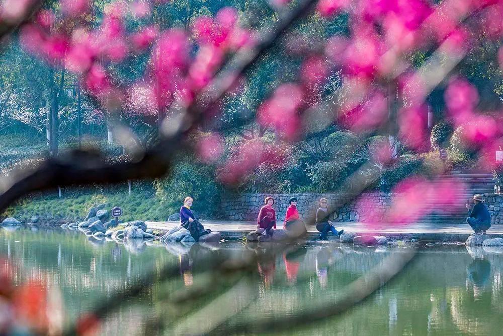 杀鸡时,鸡肚里有块大“黄油”,是吃掉还是该扔掉?看完涨知识了