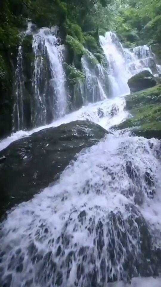杨瀚森11+10陈盈骏15+8+10 广州终结青岛4连胜